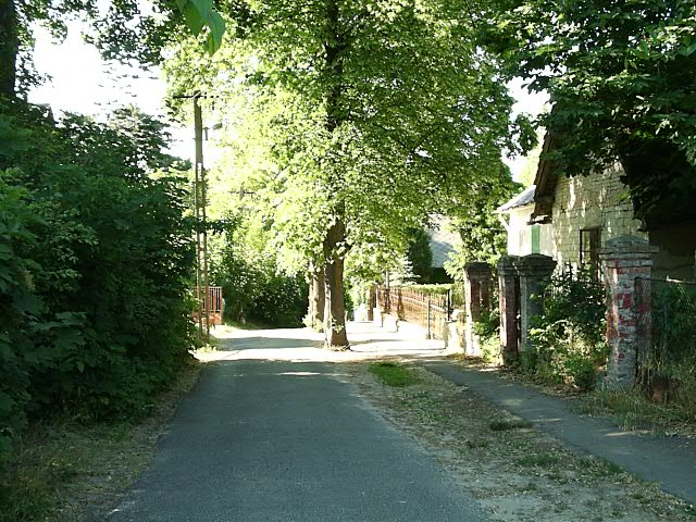 A mai H�th�z utca