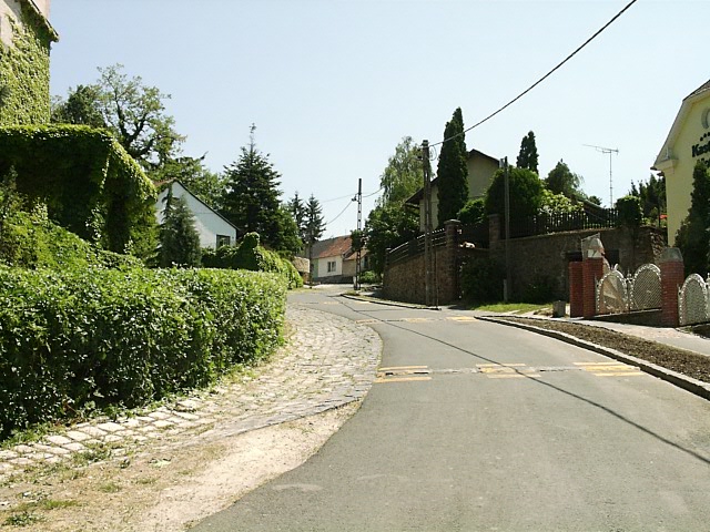 Az egykori falu kanyarg�s utc�ja - 2001 